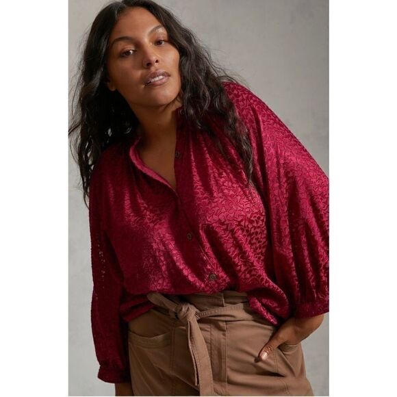 NEW Anthropologie Susanna Velvet Burnout Semi-Sheer Buttondown Blouse X-Small - Picture 3 of 3